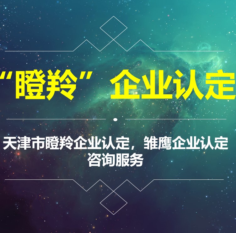 瞪羚企业资质认定服务咨询(咨询服务)